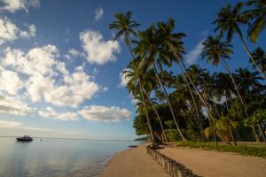 普拉亚多斯卡内罗斯Club Meridional Praia dos Carneiros - Perto da Igrejinha的棕榈树海滩和水中小船