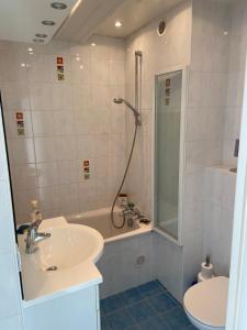 勒图凯-巴黎普拉日Marina的一间带水槽、淋浴和卫生间的浴室