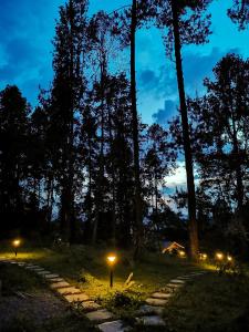 马尼萨莱斯Glamping El Color de mis Reves Recinto del Pensamiento的夜间林地中一条灯光小径