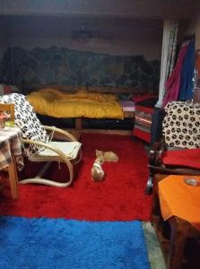 约阿尼纳Το μικρό σπίτι στο λιβαδι的地板上有一个床和动物塞的地方