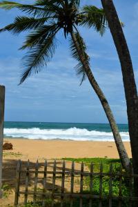 希克杜沃Hikkaduwa Beach House的相册照片