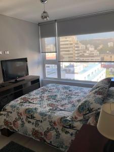 Departamento 3 poniente Viña del Mar的电视和/或娱乐中心