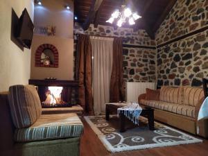 帕雷斯阿吉萨那辛诺娜潘神公寓的带沙发和壁炉的客厅