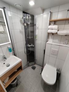 凯米Hotelli Toivola的带淋浴、卫生间和盥洗盆的浴室