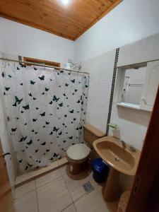 伊瓜苏港Morada Silvestre Iguazú的带淋浴、卫生间和盥洗盆的浴室