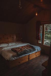 马拉里Enthralling Escapes Nature Stay and Trek的窗户客房内的一张床位