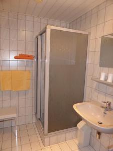 Aflenz Kurort豪斯莱切哈尔乐公寓的带淋浴和盥洗盆的浴室