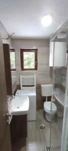 巴伊纳巴什塔Tarsko srce N的一间带卫生间和水槽的小浴室