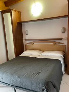 廖卢纳托Hotel Le Polle的一间卧室配有一张大床和木制床头板