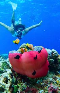 ThinadhooThari Fushi Luxury Maldivian Experience - All Inclusive的在红充气的海洋中游泳的人