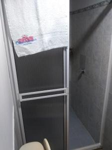 RoldanilloDeptos VILLA AURORA的带淋浴、卫生间和浴帘的浴室