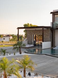 帕斯蒂达Nama Retreat的一座别墅,设有游泳池和棕榈树