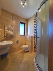 米泽德沃兹Villa Amber的浴室配有卫生间、盥洗盆和淋浴。