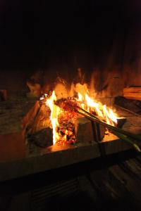 莫尼兹港Casa do Ribeirinho的石炉火,火