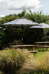 奥赫特拉德The Smiddy Haugh的草上野餐桌和雨伞