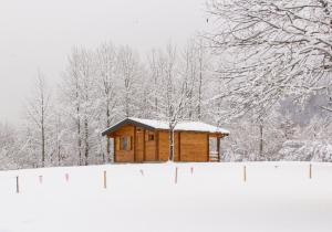 普卢日内Vikendice Gornja Brezna - Mountain cabin Gornja Brezna的雪覆盖的田野中的小木屋