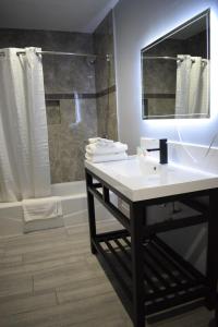 森瓦利Willow Tree Inn & Suites的浴室配有白色水槽和淋浴。