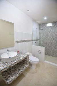 多洛雷斯-伊达尔戈HOTEL MI HERMOSO DOLORES的一间带水槽、卫生间和淋浴的浴室