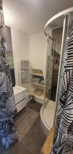 多维尔Le Deauvillais - Appartement Plein Centre - 4 pers - 2 mn plage - Idéal Famille的带淋浴、卫生间和盥洗盆的浴室