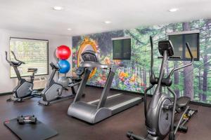 安纳海姆贝斯特韦斯特普拉斯莱佛士套房酒店 的健身房设有3辆健身自行车和壁画