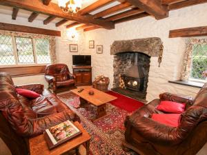 兰鲁斯特Nant Cottage的客厅配有皮革家具和壁炉