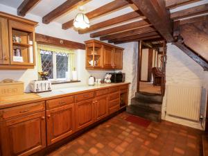 兰鲁斯特Nant Cottage的一个带木制橱柜和窗户的大厨房