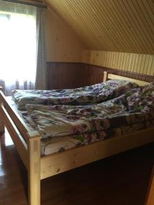 舍绍里Шепіт лісу的一张位于带窗户的房间的床