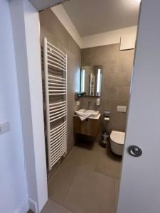 萨尔茨堡Villa Flöckner Bed & Breakfast的一间带水槽、卫生间和镜子的浴室