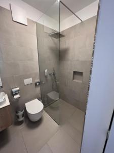 萨尔茨堡Villa Flöckner Bed & Breakfast的一间带卫生间和玻璃淋浴间的浴室