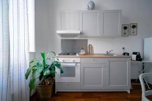巴里CASA FISCARDI的厨房配有白色橱柜、水槽和植物