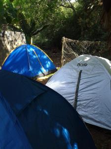 圣罗克迪米纳斯Pousada e Camping Daniel的两个蓝色和白色的帐篷彼此相邻