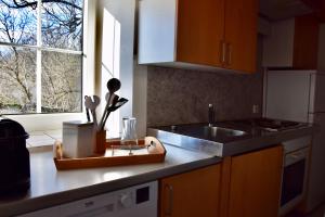 格莱斯多夫Golf-Appartement的带水槽的厨房台面和窗户