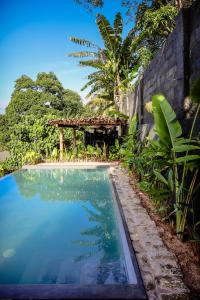 康提Banana Bunks Kandy的花园内的游泳池,带凉棚