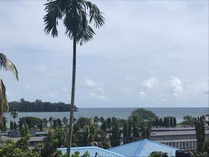 布莱尔港Andaman Vacations Home的棕榈树,在海景前