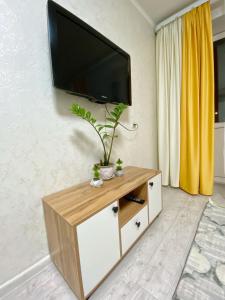 (( Turksib ))Апартаменты на Ахметова 6的客厅设有壁挂式平面电视。