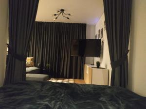 阿利图斯Studija Alytuje的一间卧室配有一张床和一台平面电视