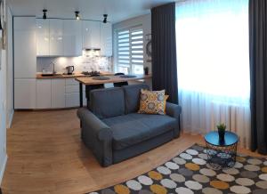 阿利图斯Studija Alytuje的带沙发的客厅和厨房
