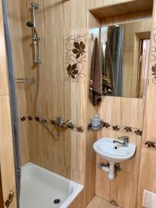 斯拉夫西克Ніч над Карпатами的一间带水槽、卫生间和淋浴的浴室