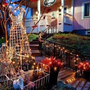 皮耶克赛迈基Wanha Neuvola Guesthouse & Apartment的门廊装饰着带灯的圣诞花