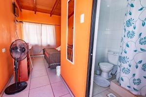 圣佩德罗·德·阿塔卡马hostal nuevo sol y viento的一间带卫生间的浴室和风扇。