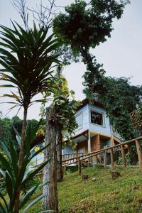 马卡科斯Sensorial Macacos的棕榈树山丘上的房屋