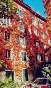 日内瓦迪泽伦斯旅馆公寓的建筑的侧面有红叶
