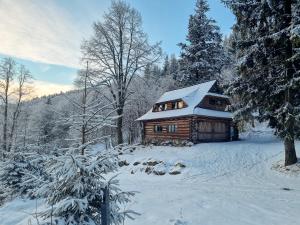 JugówDomek Górski przy Bukowej Chacie的雪中树下的小木屋
