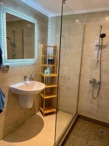 赫尔格达Soma Bay Apartment的一间带水槽和淋浴的浴室