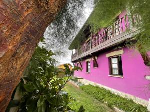 伊诺赫多诺利亚之家宾馆的带阳台和一棵树的粉红色建筑