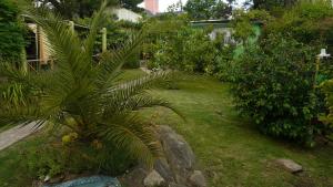 坦迪尔El Jardin de Nora的庭院里种有棕榈树的花园