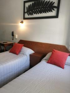 布宜诺斯艾利斯Suite Confortable en Palermo Omega的两张位于酒店客房的床铺,配有红色枕头
