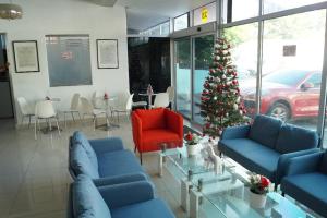 圣多明各加勒比城市精品酒店的客厅配有蓝色的沙发和圣诞树