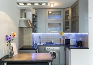 布达佩斯Mentha Apartments Deluxe - MAD的厨房配有水槽和洗衣机