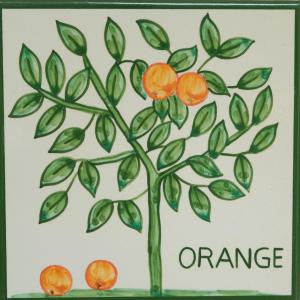 拉戈斯Casa Monte Cristo Apartments - Orange的画出一棵橘子树,上面有三个橙子